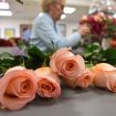 Valentine’s Day one of the busiest days of the year for local florists