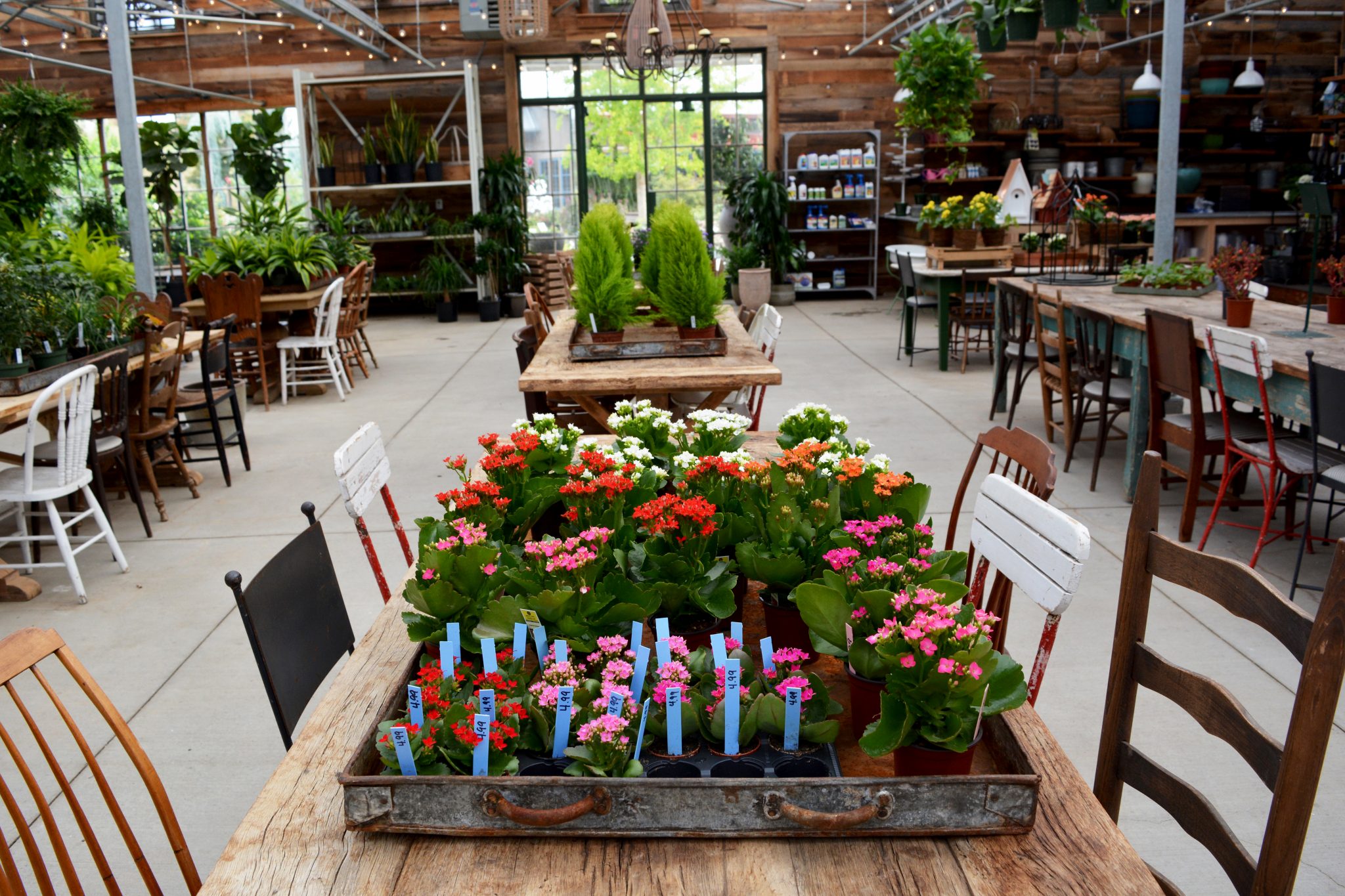 Leaf & Petal Jamie Pursell Alabama Retail Association